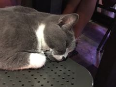 -MIKAKU(万达广场上海宝山店)