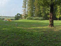 -黄海国家森林公园