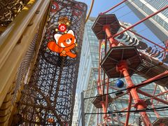 -中国福利会少年宫