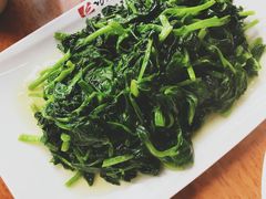 -功夫兔
