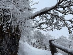 -峨眉山风景名胜区