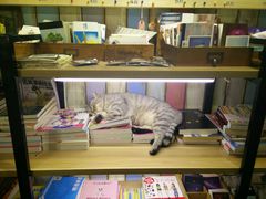 -小时光咖啡馆(开森度假森林店)