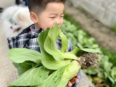 -小鱼草莓采摘园农家乐·小鱼餐厅