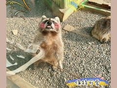 -秦皇岛野生动物园