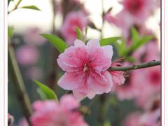 -水濂山森林公园