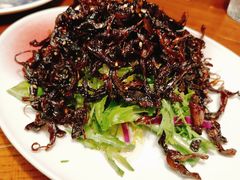 -雀舞云南菜(天津天河城购物中心店)