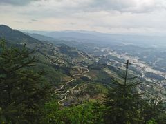 -紫鹊界梯田景区