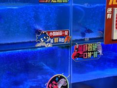 -鱼酷活鱼烤鱼(南京水游城店)