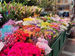 -朝来春花卉市场