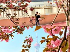 -北外滩滨江绿地