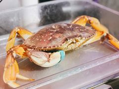-The Boiling Crab宝灵蟹手抓海鲜(中国首店)