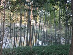-杭州植物园