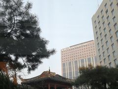 -亮马河饭店翠雅咖啡厅