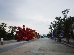 -荷兰花海