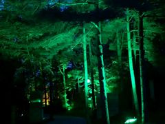 -洛阳白云山景区