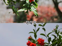 -重元寺
