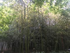 -陕拾叁(袁家村店)