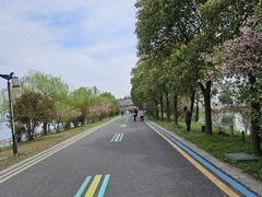 -溱湖国家湿地公园