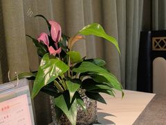 -祥粤楼粤菜海鲜茶点(阿云朵仓店)