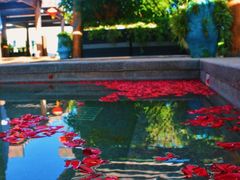 -华侨城阳宗海海景温泉