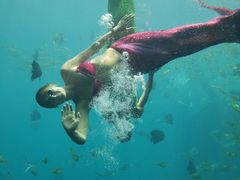 -瑞德姆美人鱼海底演艺主题餐厅(亚龙湾店)