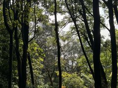 -广州市帽峰山景区