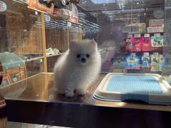 -FAELING PETS美天灵宠物(富力广场店)