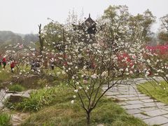 -常德桃花源景区