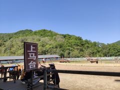 -大水川景区