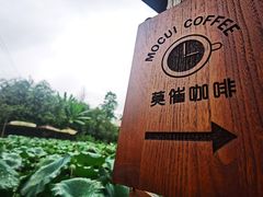 -莫催咖啡