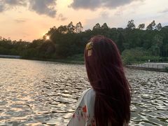 -南国桃园旅游度假区