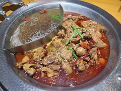-成老灶火锅鸡(平山店)