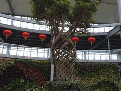 -南通洲际绿博园