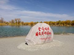 -金塔沙漠胡杨林景区