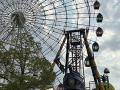 -洋湖国家湿地公园