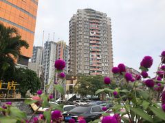 -珠海拱北口岸