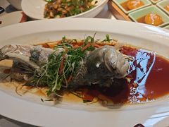-院里寻菜·祖庵菜宴请(观沙岭店)