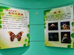 -上海昆虫博物馆