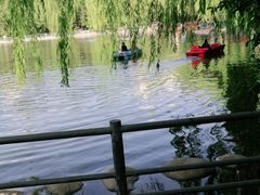 -莲湖公园