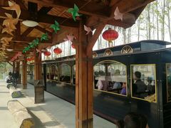 -合肥滨湖国家森林公园