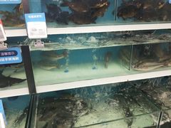 -盒马鲜生(大成店)