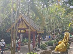 -西双版纳傣族园