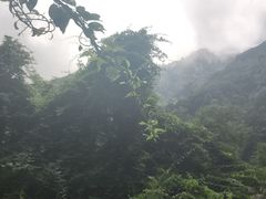 -终南山国家森林公园