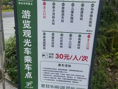 -合肥滨湖国家森林公园