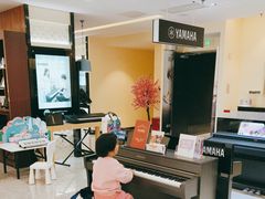 -知音艺术教育培训·钢琴培训·音乐培训(河西金鹰世界校区)