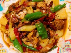 -巴依老爷新疆美食(清华东门店)