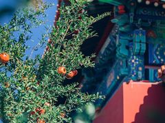 -故宫博物院(故宫)