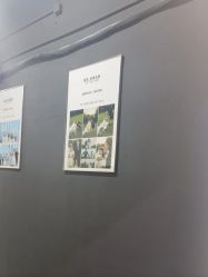 -七色田儿童摄影(静安店)