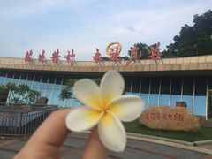 -海堤纪念公园