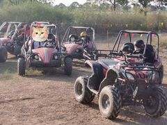 -营地公园·团建拓展·亲子户外(奉贤店)